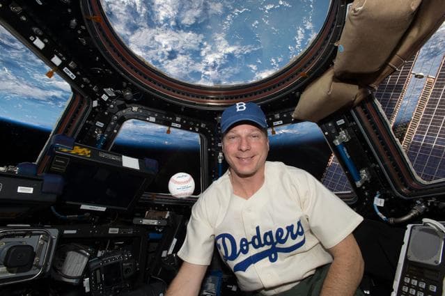 NASA image: iss042e098993