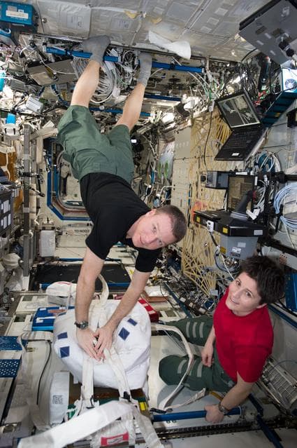 NASA image: iss042e100702