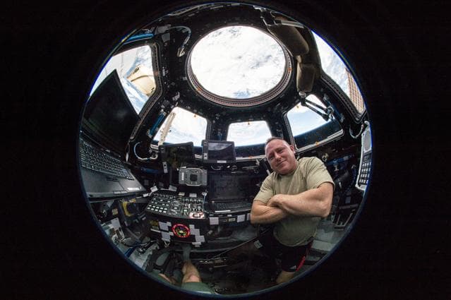 NASA image: iss042e119635