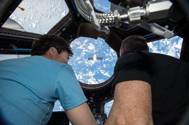 NASA image: iss042e119671