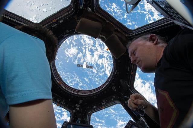 NASA image: iss042e119674