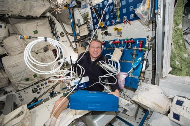 NASA image: iss042e132600