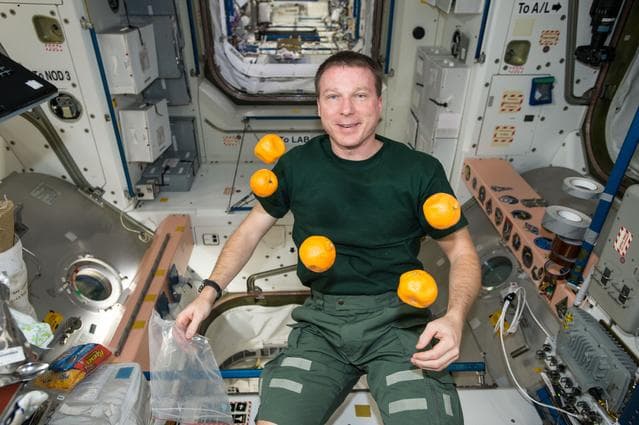 NASA image: iss042e136052