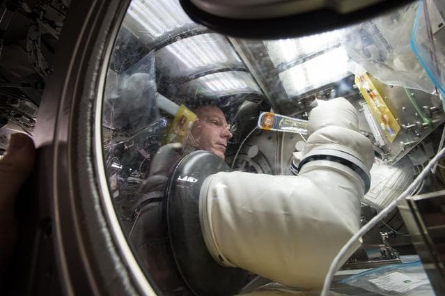 NASA image: iss042e136060
