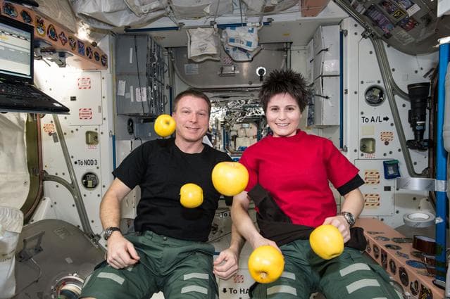 NASA image: Virts and Cristoforetti in Node 1