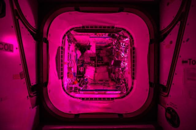 NASA image: iss042e136099