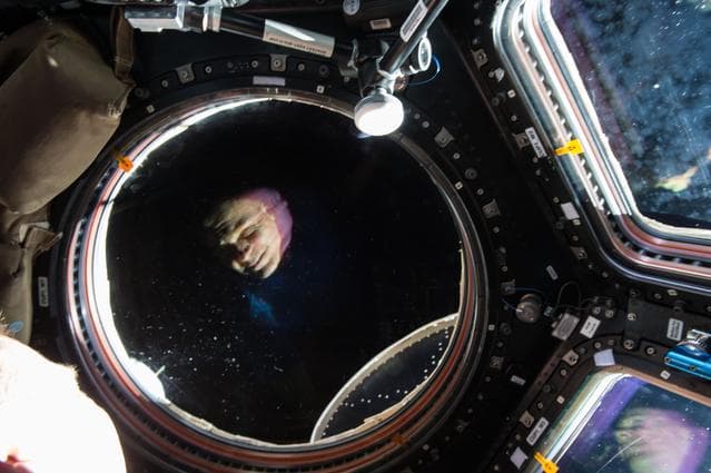 NASA image: iss042e138547