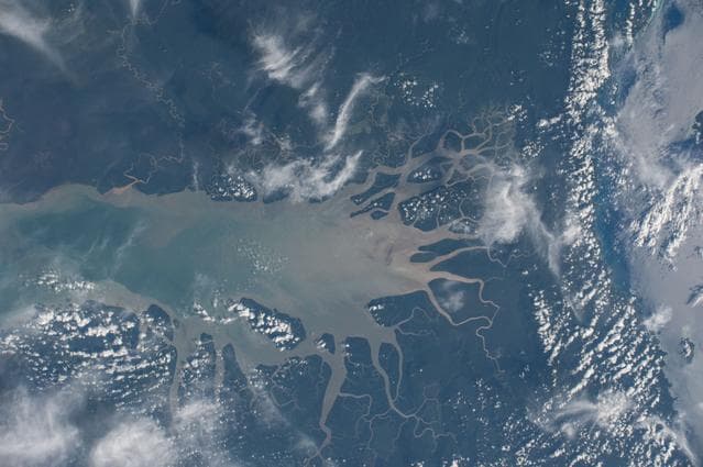 NASA image: iss042e177264
