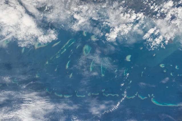 NASA image: iss042e177296