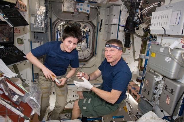 NASA image: iss042e207665