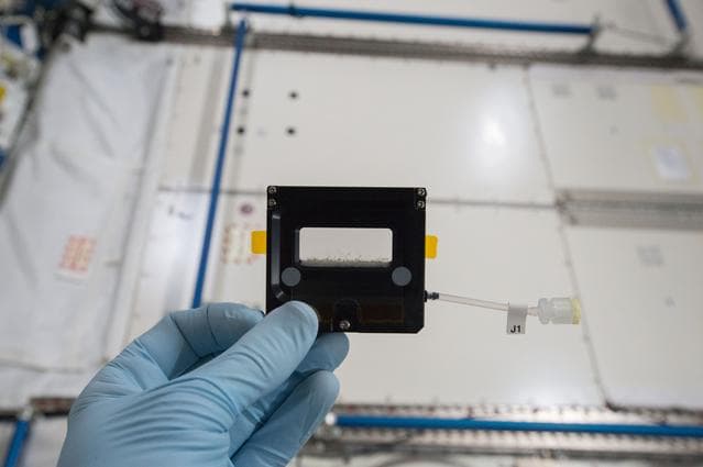NASA image: iss042e238503
