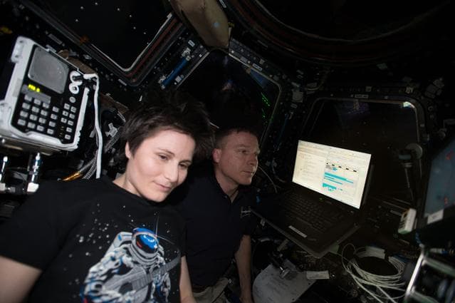 NASA image: iss042e239538