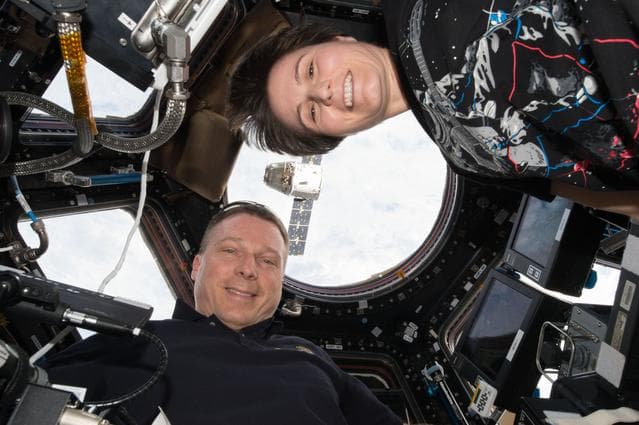 NASA image: iss042e239608