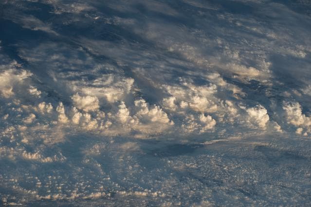 NASA image: iss042e263426
