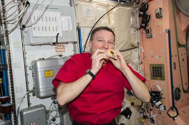 NASA image: iss042e277414