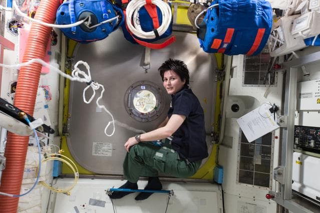 NASA image: iss042e287823