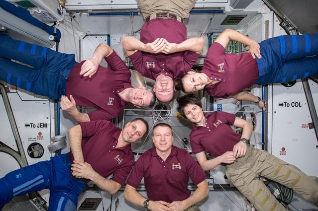 NASA image: iss042e306480
