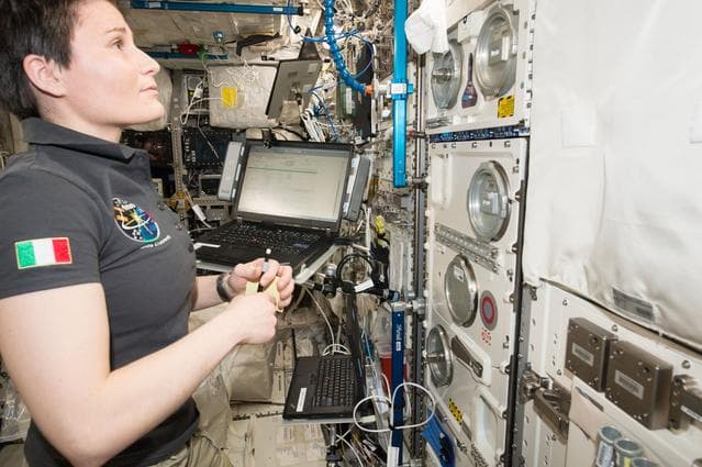 NASA image: Gene, Immune and Cellular Responses to Single and Combined Space Flight Conditions-B (TripleLux-B):