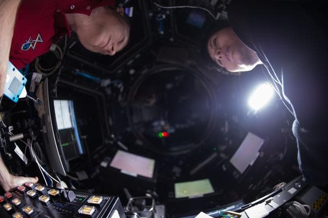 NASA image: SPX-6 Capture and Berthing