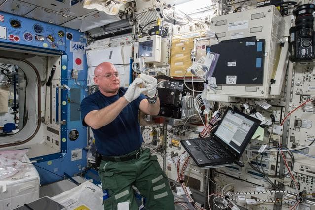 NASA image: Study of the Effects of Spaceflight on the Aging of C. elegans (Space Aging)