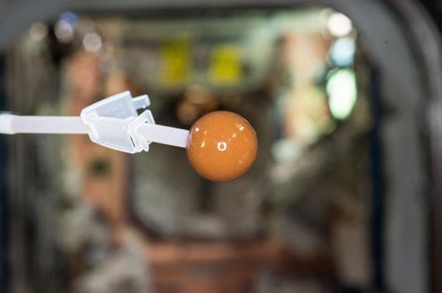 NASA image: Coffee