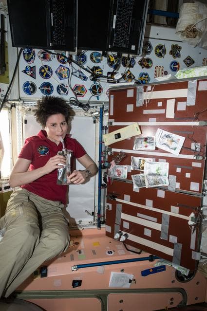 NASA image: Cristoforetti  in Node 1
