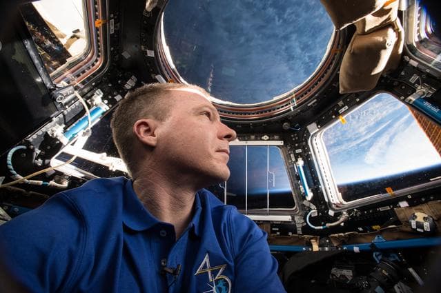 NASA image: Selfie in Cupola module