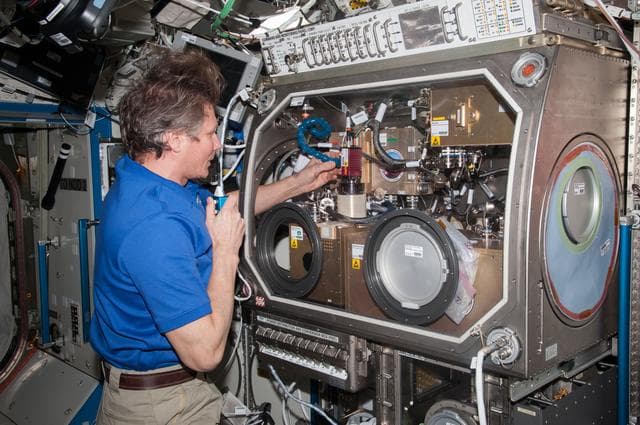 NASA image: Padalka during OASIS Macro Camera Alignment in the U.S. Laboratory