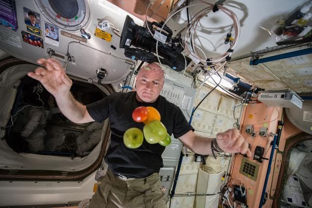 NASA image: Kelly watches fruit float in the Node 1