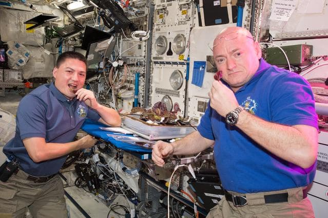 NASA image: Veg-01 Plant Harvest