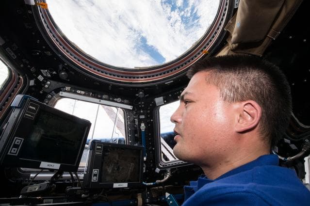 NASA image: Lindgren in Cupola training with SSRMS controls