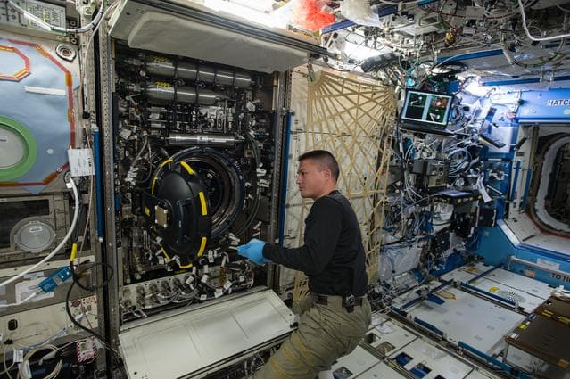 NASA image: Combustion Integration Rack (CIR)/FLame Extinguishment Experiment (FLEX)-2J Fiber Replace