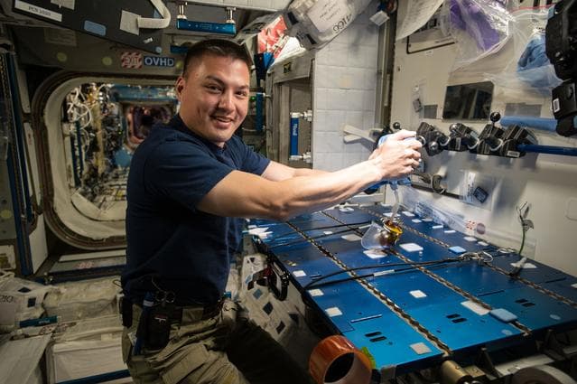 NASA image: Lindgren brews Coffee with Capillary Beverage Cup