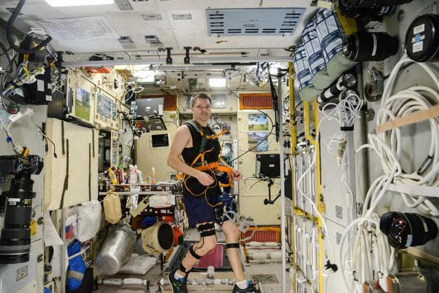 NASA image: Kononenko during Motocard Experiment