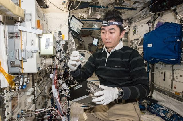 NASA image: Plant Gravity Sensing 2 Experiment OPS