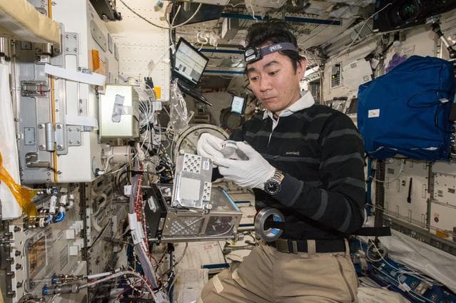 NASA image: Plant Gravity Sensing 2 Experiment OPS