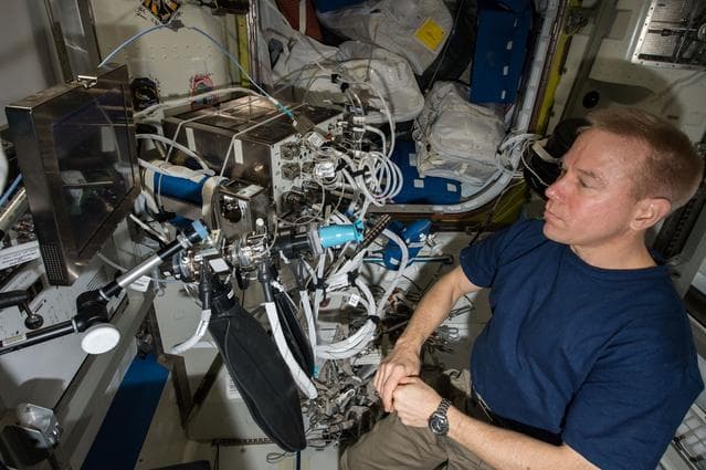 NASA image: Airway Monitoring experiment