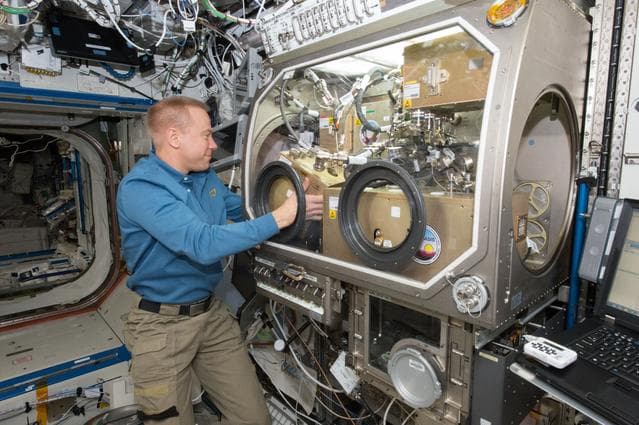 NASA image: OASIS Experiment