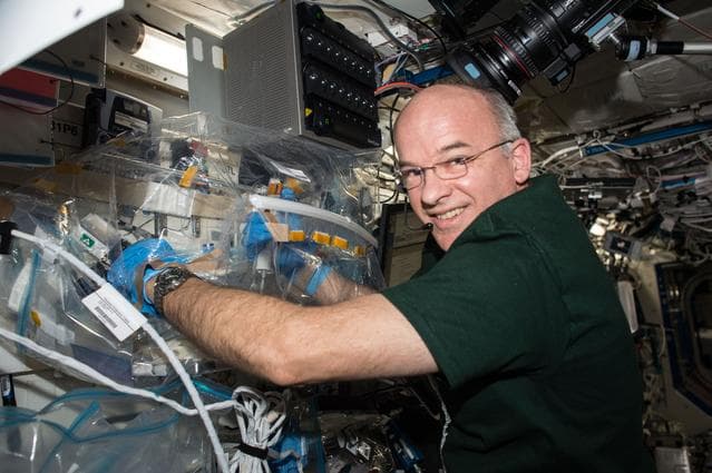 NASA image: iss047e066248