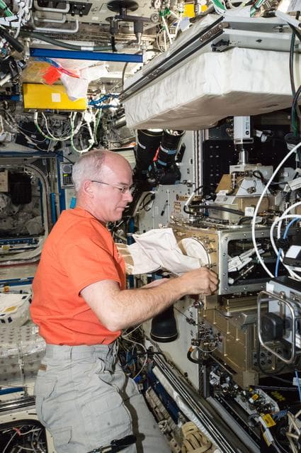 NASA image: Williams configures the LMM