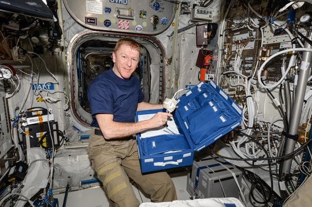 NASA image: CCFP Analyzer