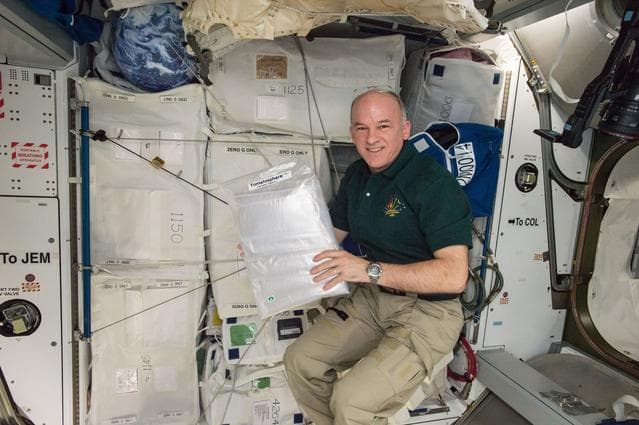 NASA image: Williams with Tomatosphere-US Payload