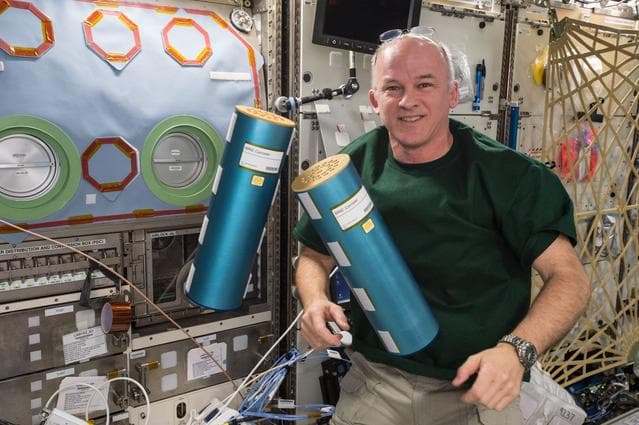 NASA image: Williams conducts BRIC-NP OPS