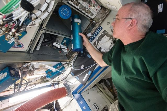 NASA image: Williams conducts BRIC-NP OPS