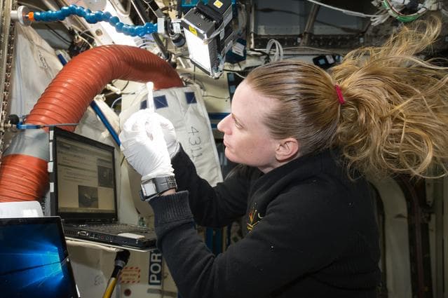 Rubins prepares Biomolecule Sequencer Experiment Sample Run 2