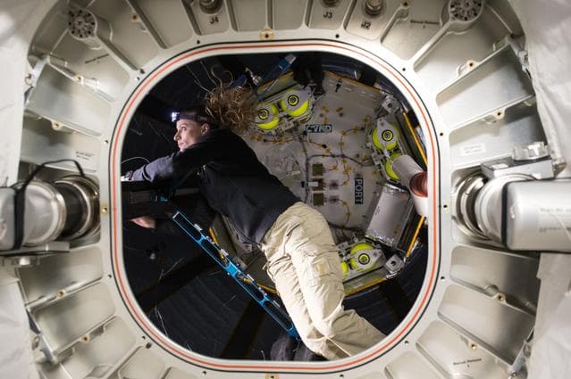 NASA image: BEAM Ingress