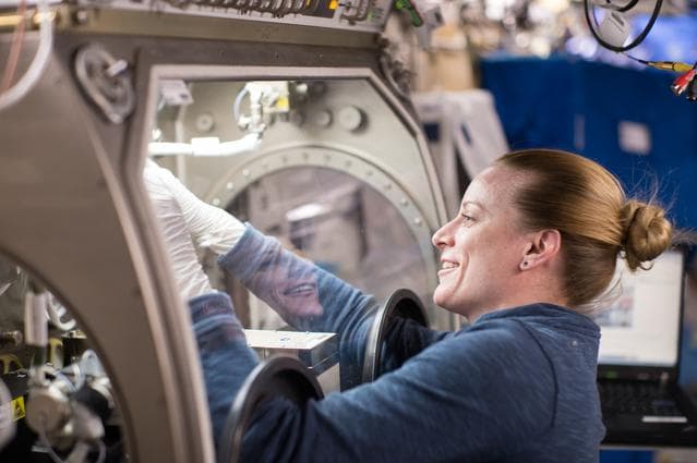 NASA image: iss049e002655