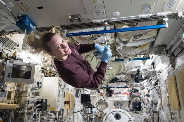 NASA image: Microbe IV Sampling Sheet and White Tube Collection