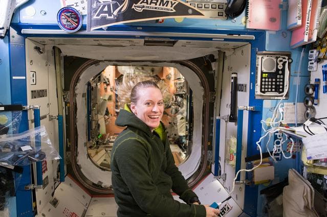 NASA image: Rubins in U.S. lab