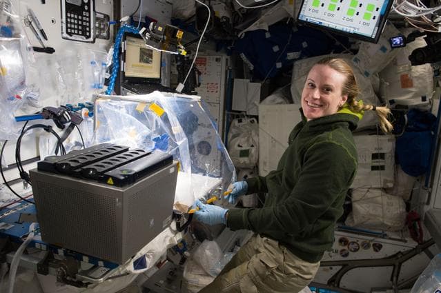 NASA image: Wet Lab RNA SmartCycler Session 3.